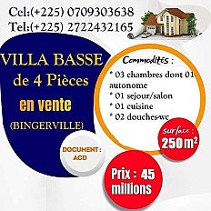 IMMOBILIER