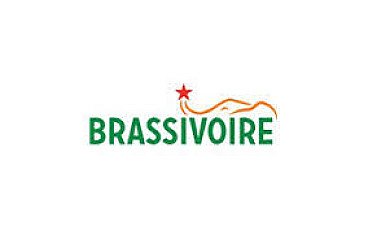 STAGIAIRE BUSINESS ANALYST